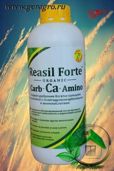 Реасил Форте (Кальций) (флакон 1 л)