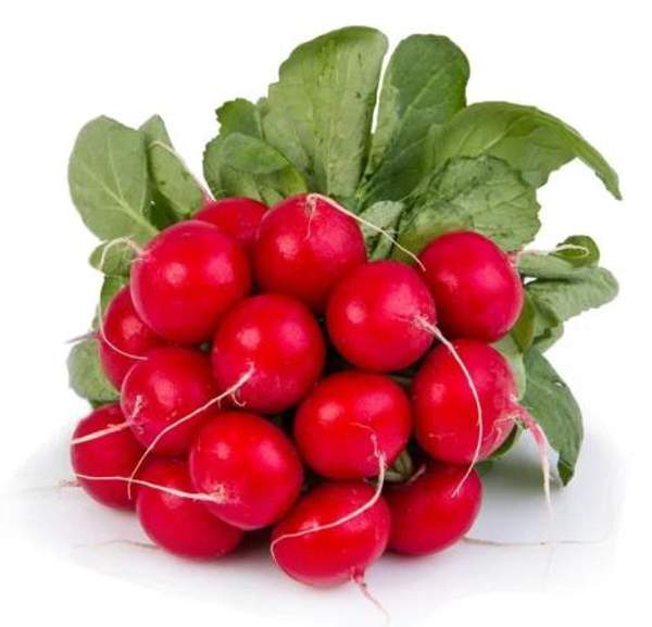 Редис пучковой