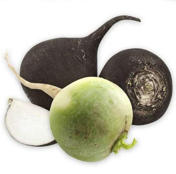 Редька в ассортименте