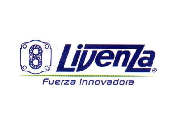 Ремонт гидромоторов Livenza, Ремонт гидронасосов Livenza