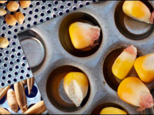 Решета на зерносушилки