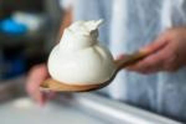 РЕЦЕПТЫ СЫРА