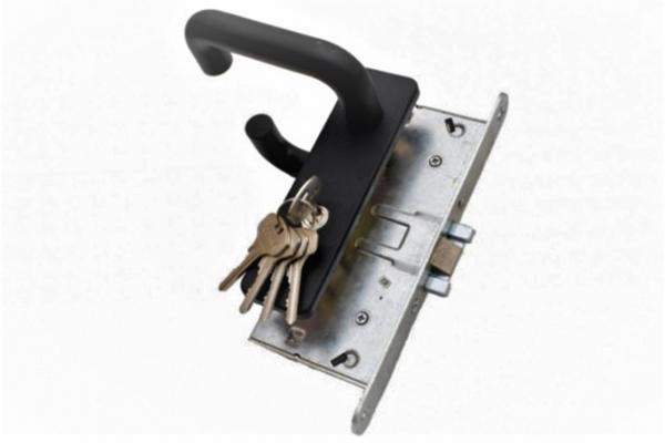 РОЛТЭК 421 замок для калитки врезной