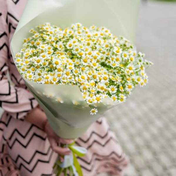 Ромашки Купить от 1шт.