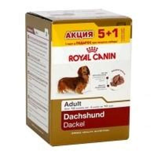 Royal Canin набор паучей для собак породы Такса (паштет) 6х85 гр. арт. 101.188д