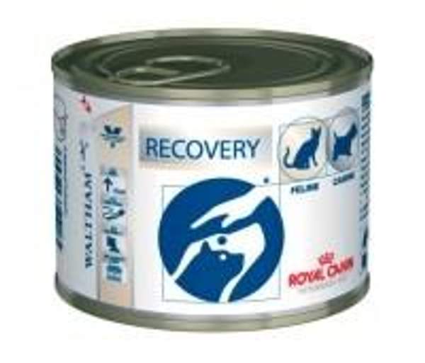 Royal Canin Recovery влажный корм для собак и кошек в восстановительный период после болезни, интенсивной терапии 195 гр. арт. 99.2.131