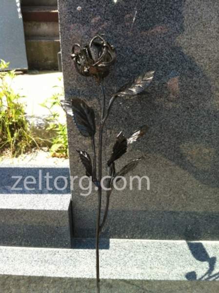 Роза 750х60мм