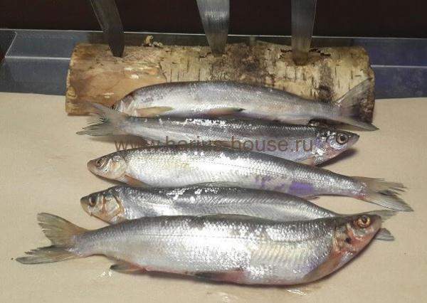 Ряпушка свежемороженая (Енисей) ~ 700 гр.