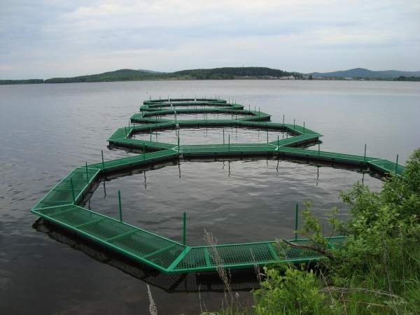 Рыбоводные садки для выращивания рыбы Доставка по России.