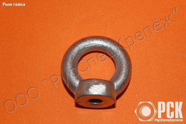 Рым-гайка DIN 582 купить