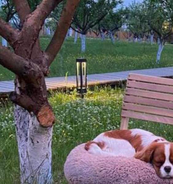 Садовый, ландшафтный светильник