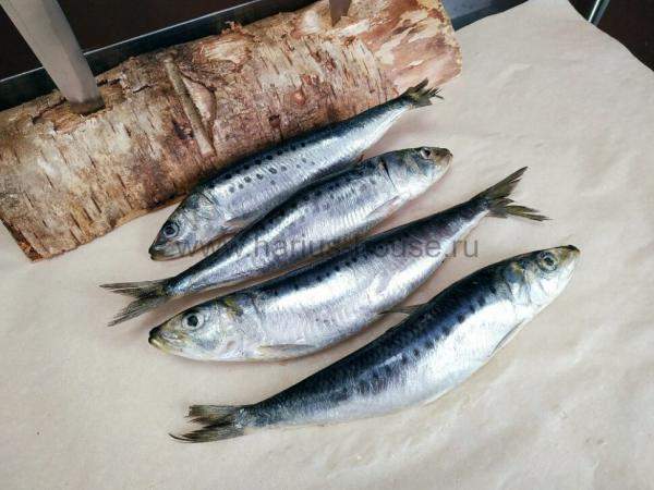 Сельдь иваси свежемороженая (Курилы) ~ 700 гр.
