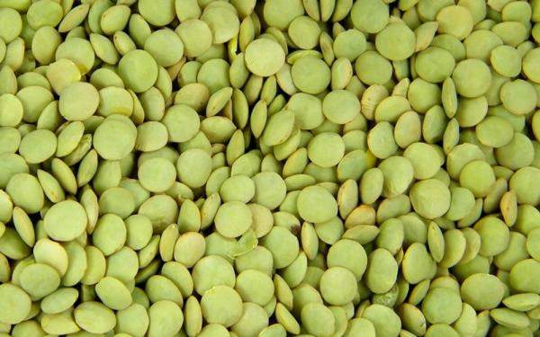 Семена чечевицы зеленой Дельта