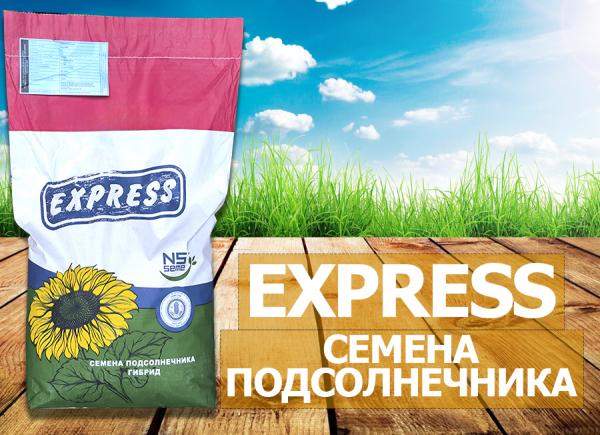 Семена подсолнечника нови-сад нс х 6054 (express)