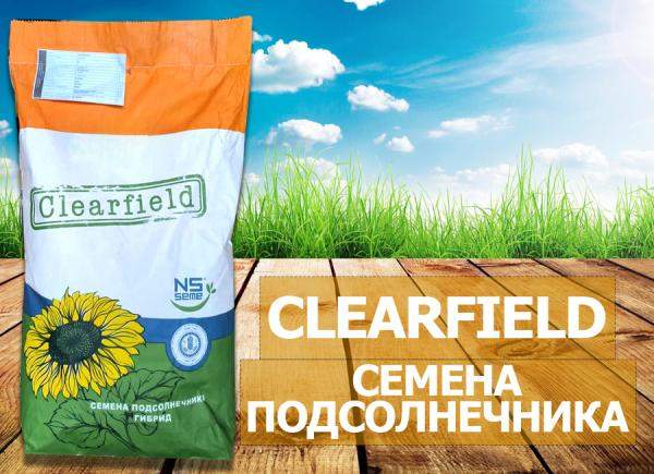 Семена подсолнечника нс х 6343 (clearfield)
