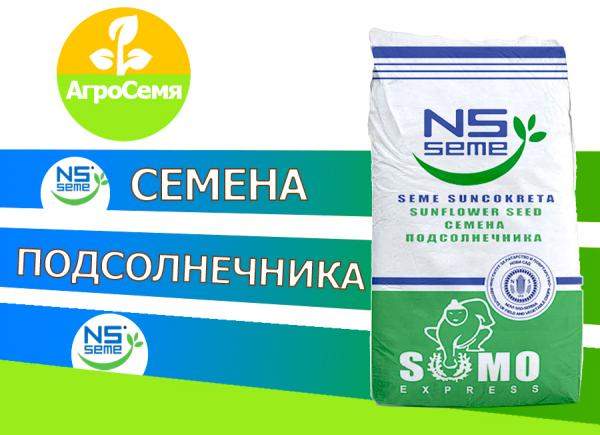 Семена подсолнечника нсx 6009 (ClearField)