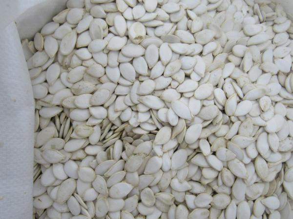 Семена тыквы