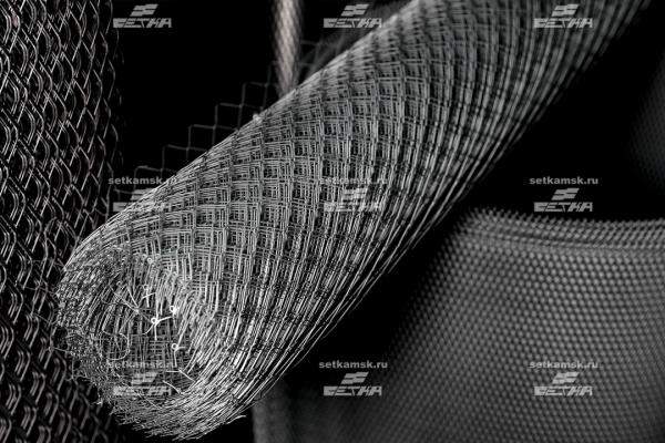 Сетка ЦПВС/ПВЛ ОЦ 10х10, толщ 0,5 шаг 0,5 рулон 1000х10000(мм)