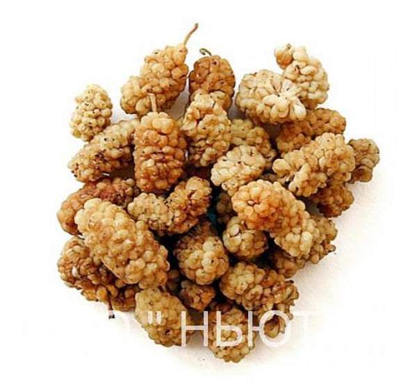 Шелковица белая сушеная