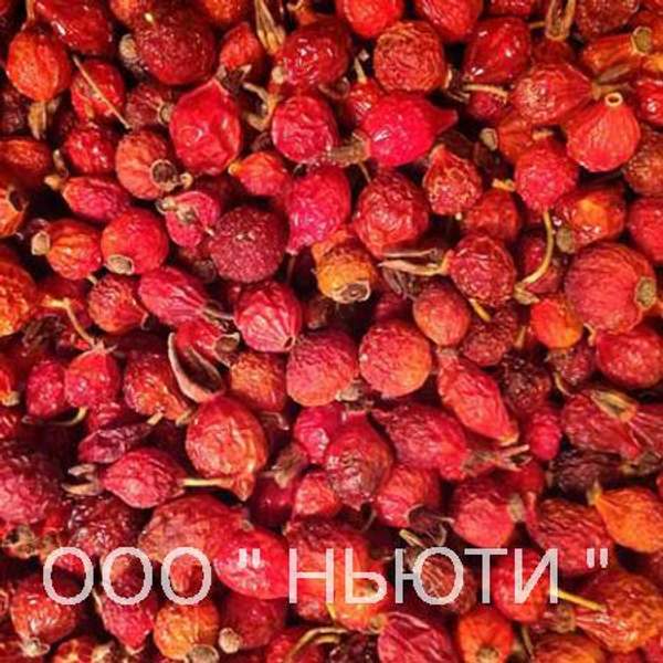 Шиповник сушеный плоды