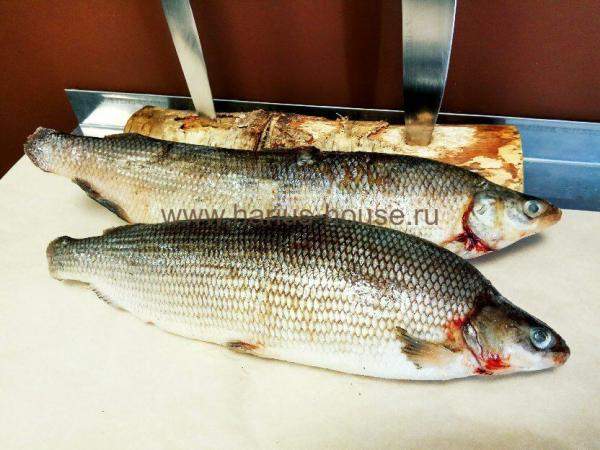 Сиг свежемороженый 0,7 кг (Таймыр)