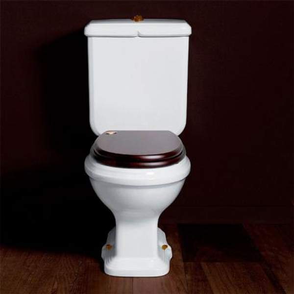 SIMAS SIMAS Arcade AR821bi+AR822bi+D21br Унитаз моноблок (белый, бронза)