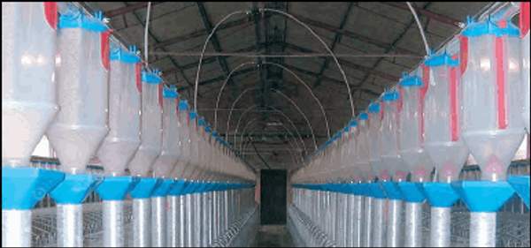 Система подачи воды в поилки для поросят