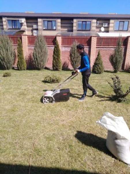 Скарификация газона