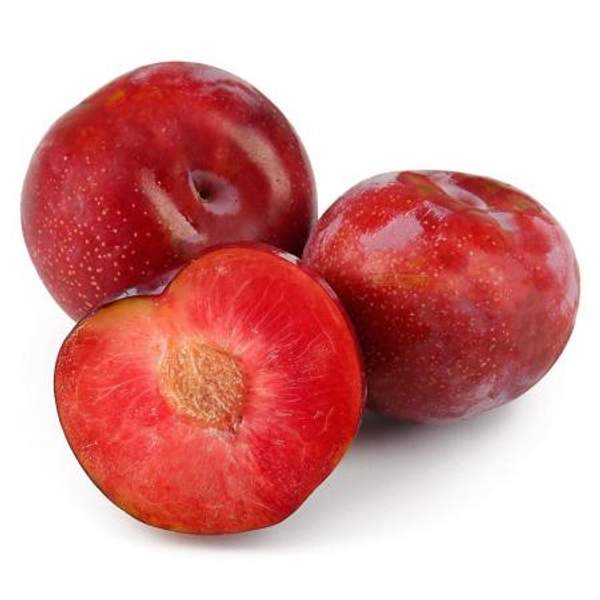 Слива Красная