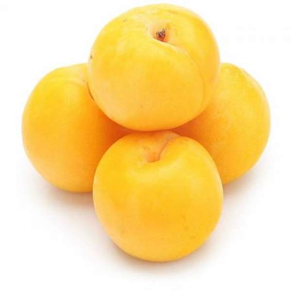 Слива Желтая