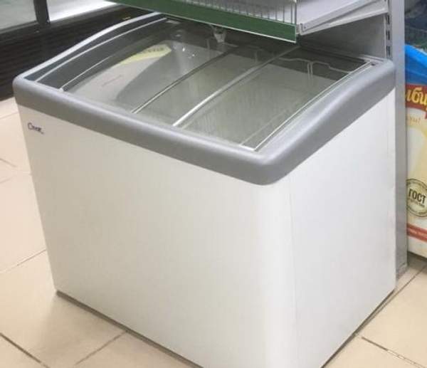 Снеж Морозильный ларь млг-250 (серый)