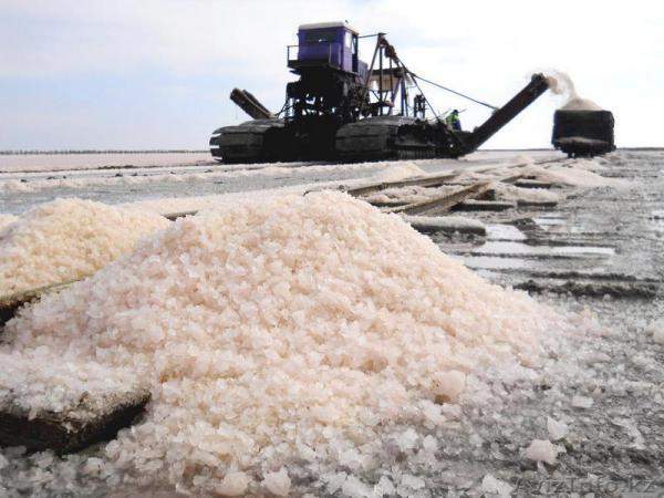 Соль техническая