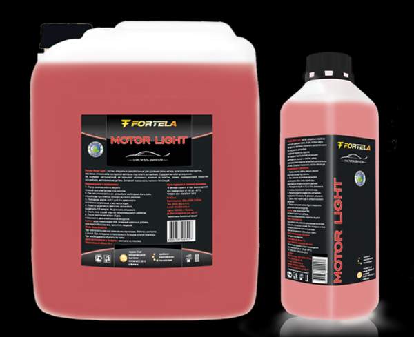 Средство для мойки двигателя - FORTELA Motor light