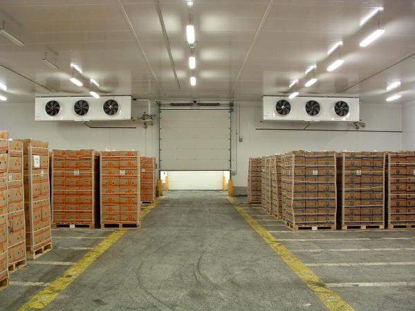 Строительство Овощных и Фруктовых Хранилищ под "Ключ". Установка Холодильных Агрегатов.