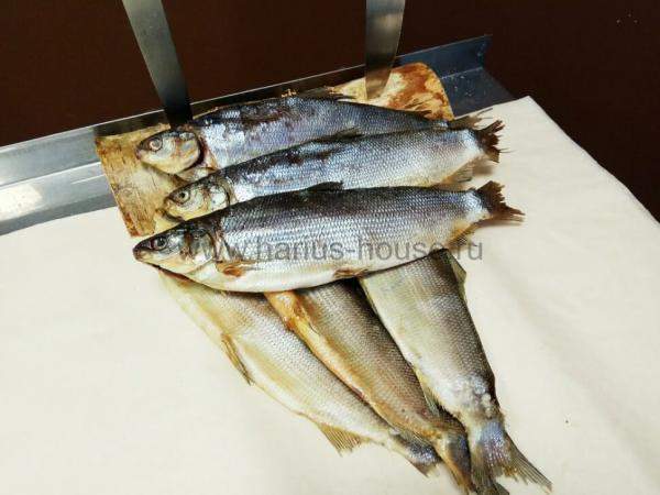 Сырок вяленый (р. Индигирка) ~ 300 гр.