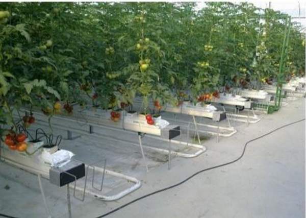 Тепличное оборудование