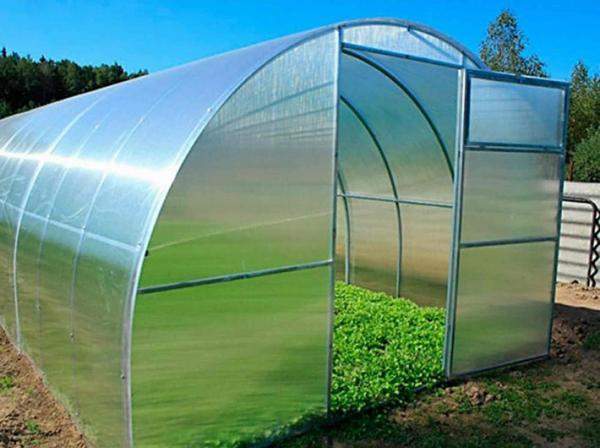 Теплица 4м, 6м, 8м с сотовым поликарбонатом.