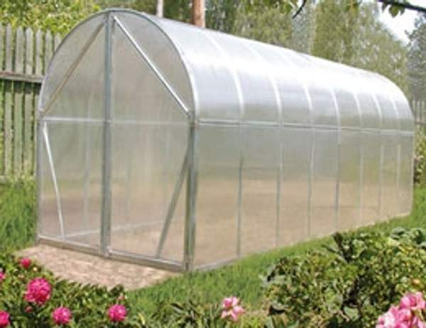 Теплица "Перчина-М" 1.5мx4 м