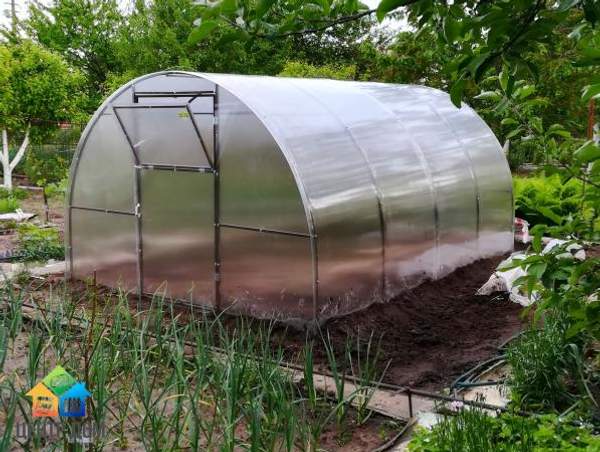 Теплица "Степная" 3х8