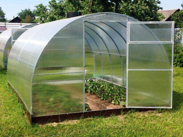 Теплица в Пензе. Шаг дуги 0,65м