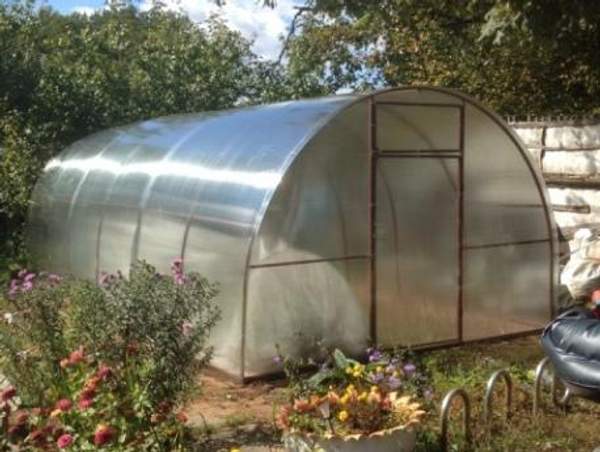 Теплицы 12*3*2 с бесплатной доставкой везде