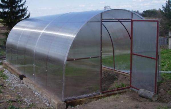 Теплицы 8*3*2 с бесплатной доставкой