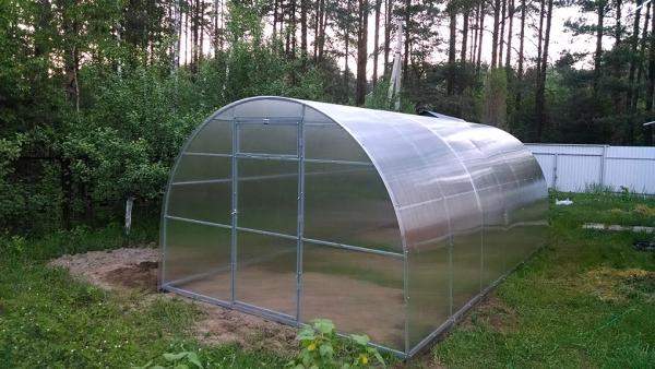 Теплицы из трубы. Бесплатная доставка по РБ Нал/Безнал