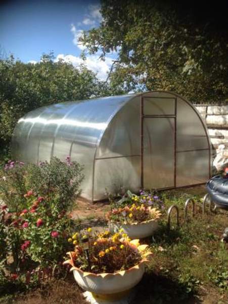 Теплицы Оцинкованные