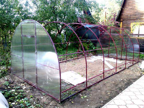 Теплицы покрытые поликарбонатом