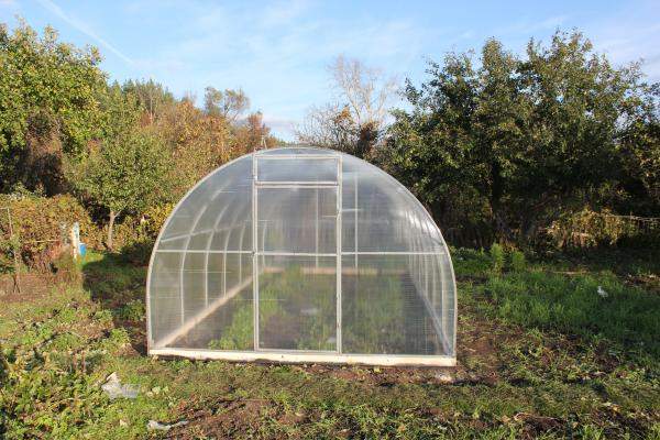 Теплицы покрытые поликарбонатом , с бесплатной доставкой