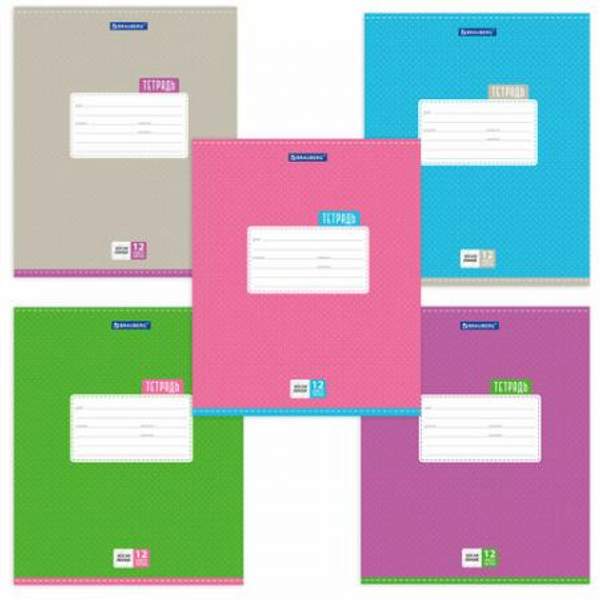 Тетрадь 12 л. BRAUBERG, косая линия, обложка картон, ТОЧКИ, 103033
