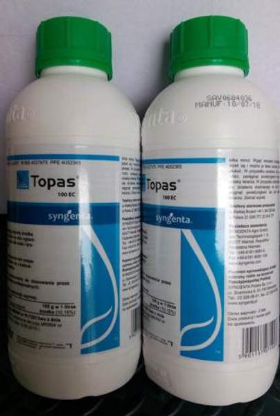 Топаз фунгицид для сада и огорода