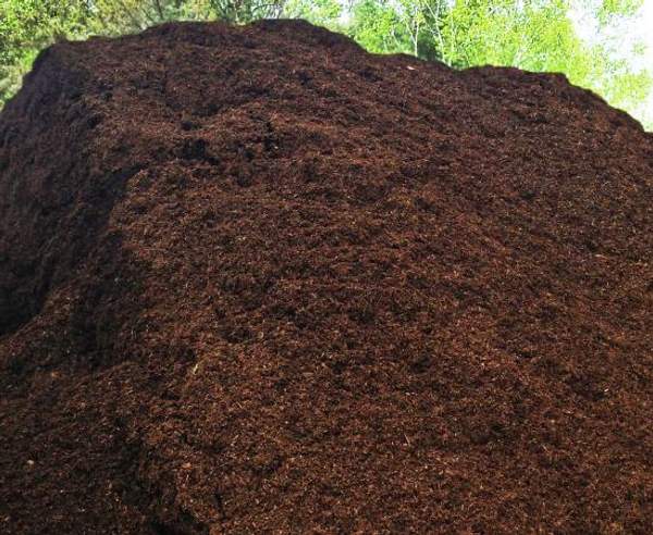 Торф в калининграде