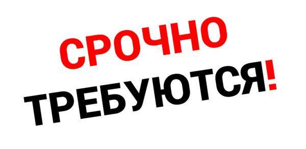 Требуется помощник руководителя в Сочи